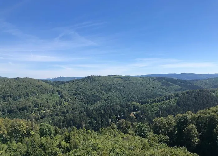 Apartment Alicia Winterberg